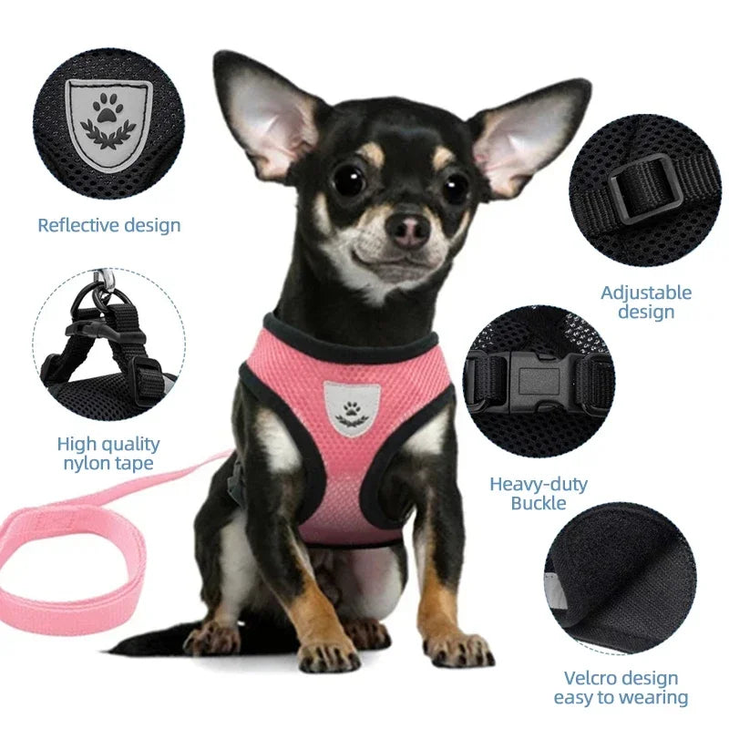 Soft Mesh Reflective Harness & Leash for Cats & Small Dogs - Urbane Paws