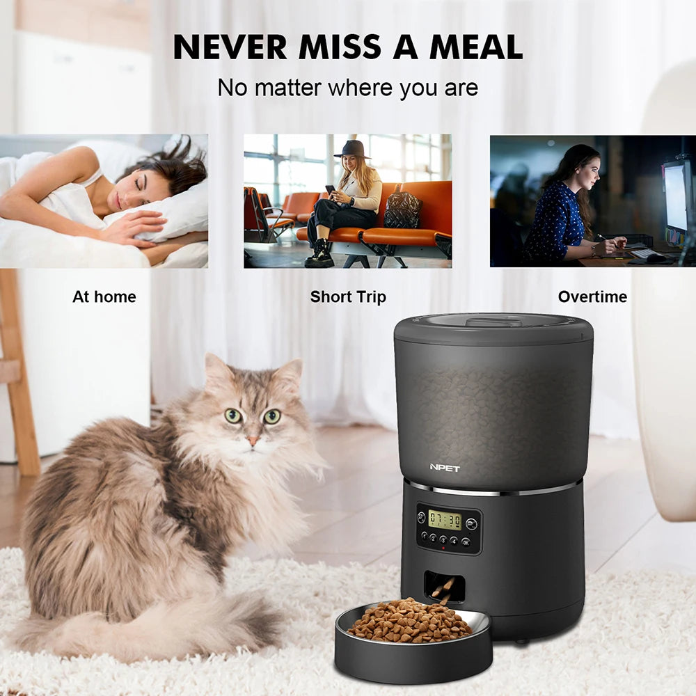 Smart 4L Feeder - Portion Control, Stainless Steel Bowl & Timed Meals - Urbane Paws