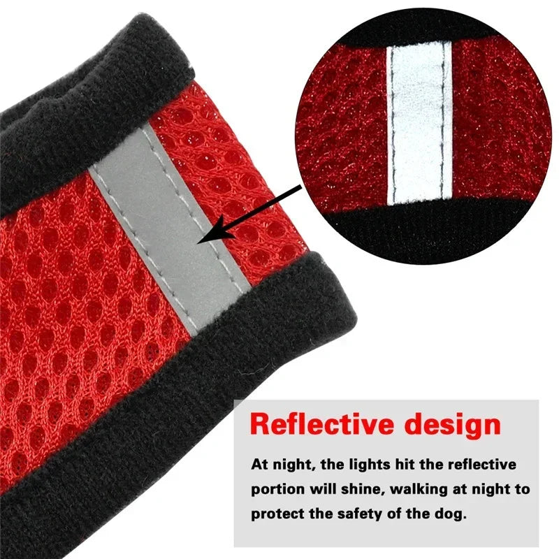 Soft Mesh Reflective Harness & Leash for Cats & Small Dogs - Urbane Paws
