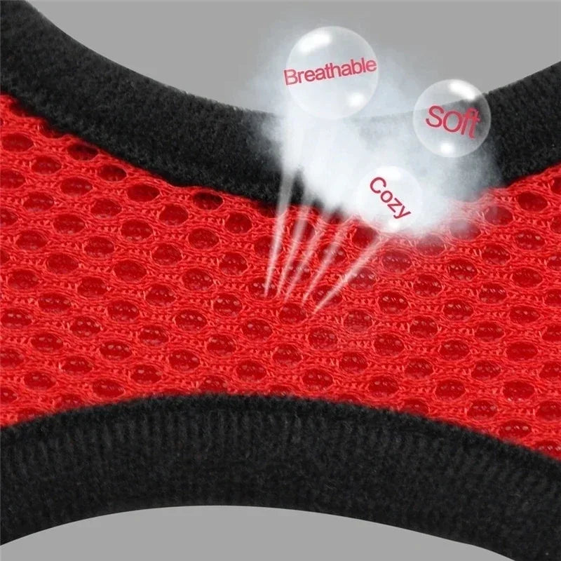 Soft Mesh Reflective Harness & Leash for Cats & Small Dogs - Urbane Paws