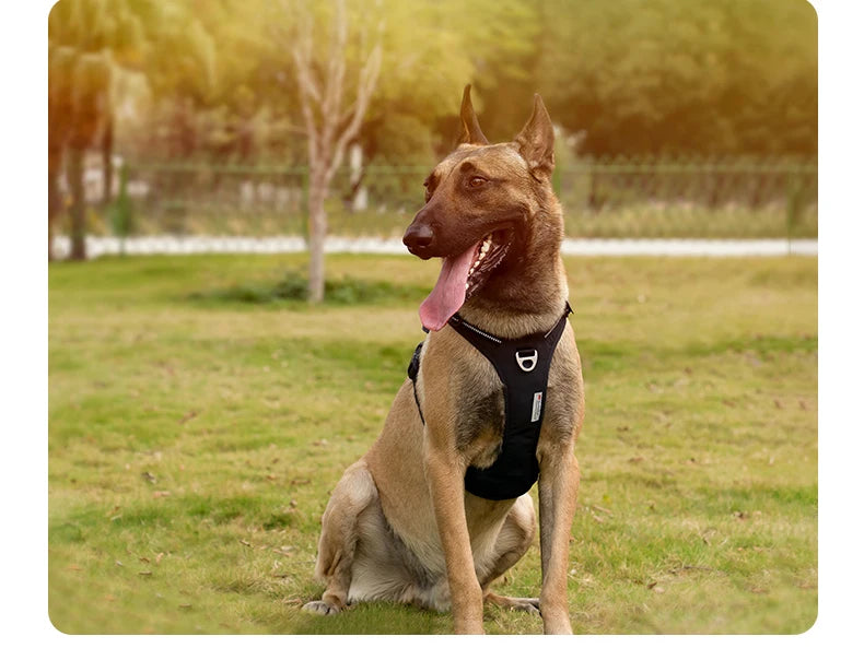No-Pull Reflective Dog Harness - Padded & Adjustable Step-in Vest - Urbane Paws