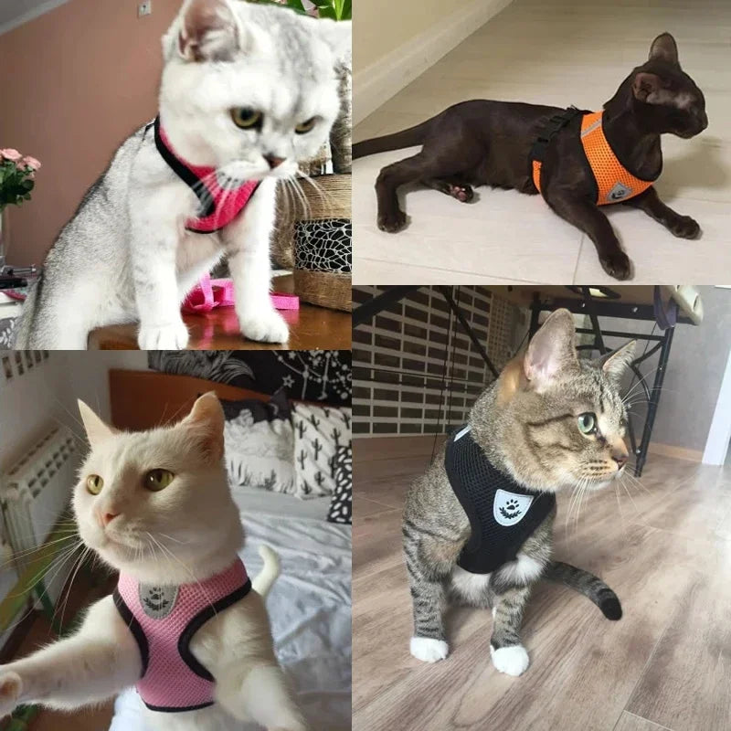 Soft Mesh Reflective Harness & Leash for Cats & Small Dogs - Urbane Paws