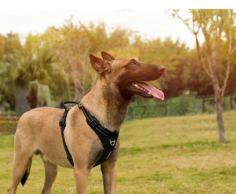 No-Pull Reflective Dog Harness - Padded & Adjustable Step-in Vest - Urbane Paws