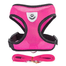 Soft Mesh Reflective Harness & Leash for Cats & Small Dogs - Urbane Paws