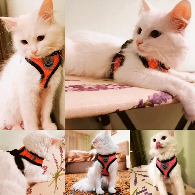 Soft Mesh Reflective Harness & Leash for Cats & Small Dogs - Urbane Paws
