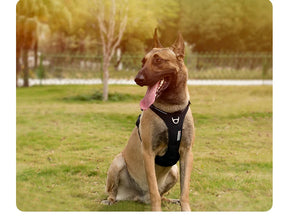 No-Pull Reflective Dog Harness - Padded & Adjustable Step-in Vest - Urbane Paws