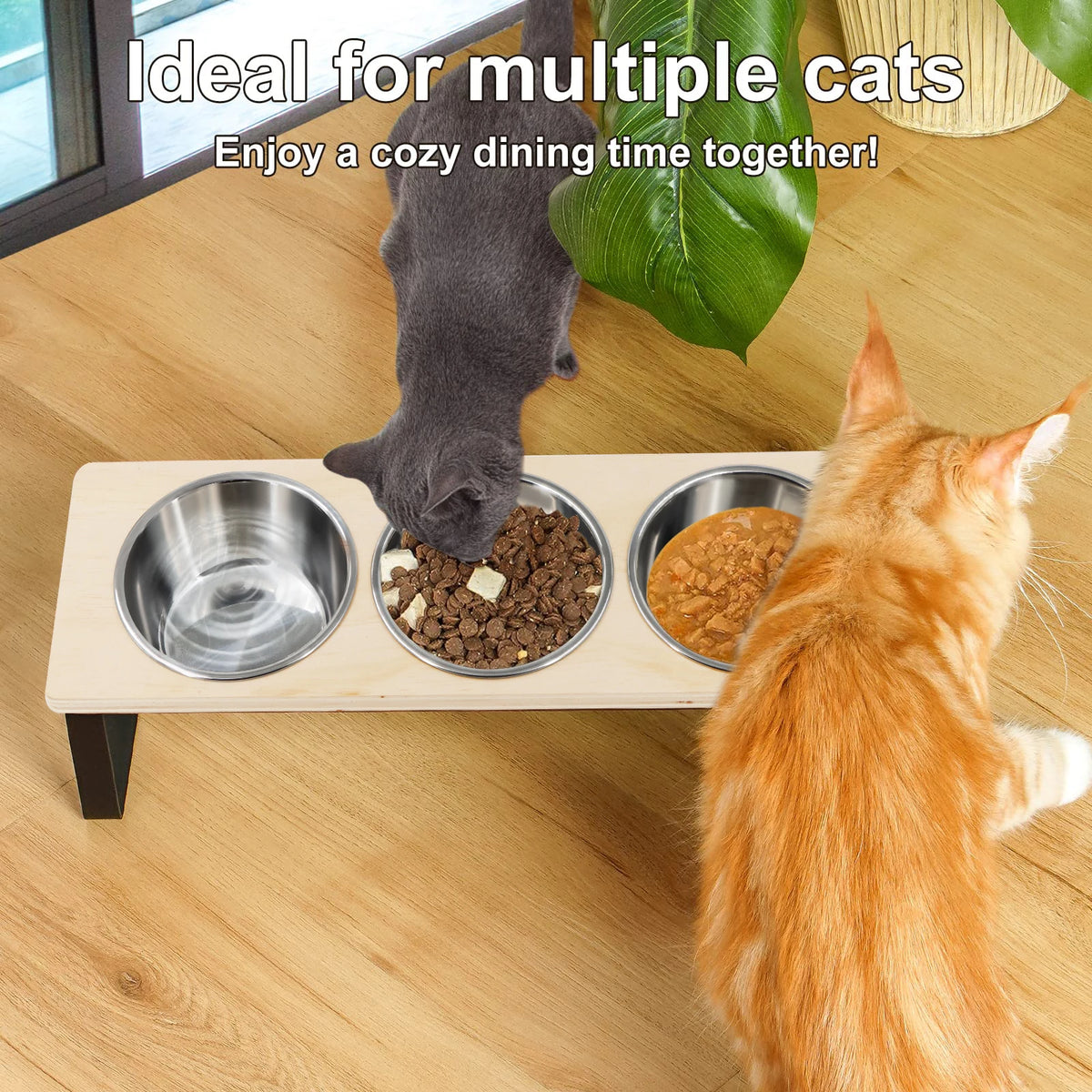 Elevated 3-Bowl Stainless Feeder - 15° Tilted for Neck/Joint Health - Urbane Paws