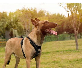 No-Pull Reflective Dog Harness - Padded & Adjustable Step-in Vest - Urbane Paws